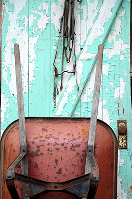 A red wheel barrow rests against a green barn door with peeling paint and horse tackle